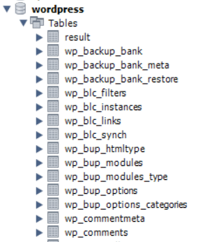 WordPress Database